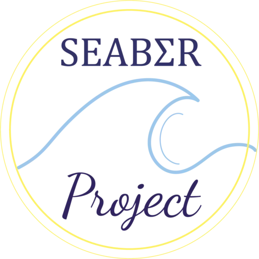 Seaber Project
